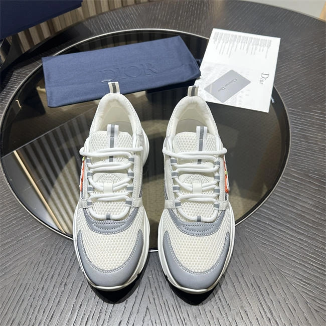 DIOR B22 DR Durable 1066